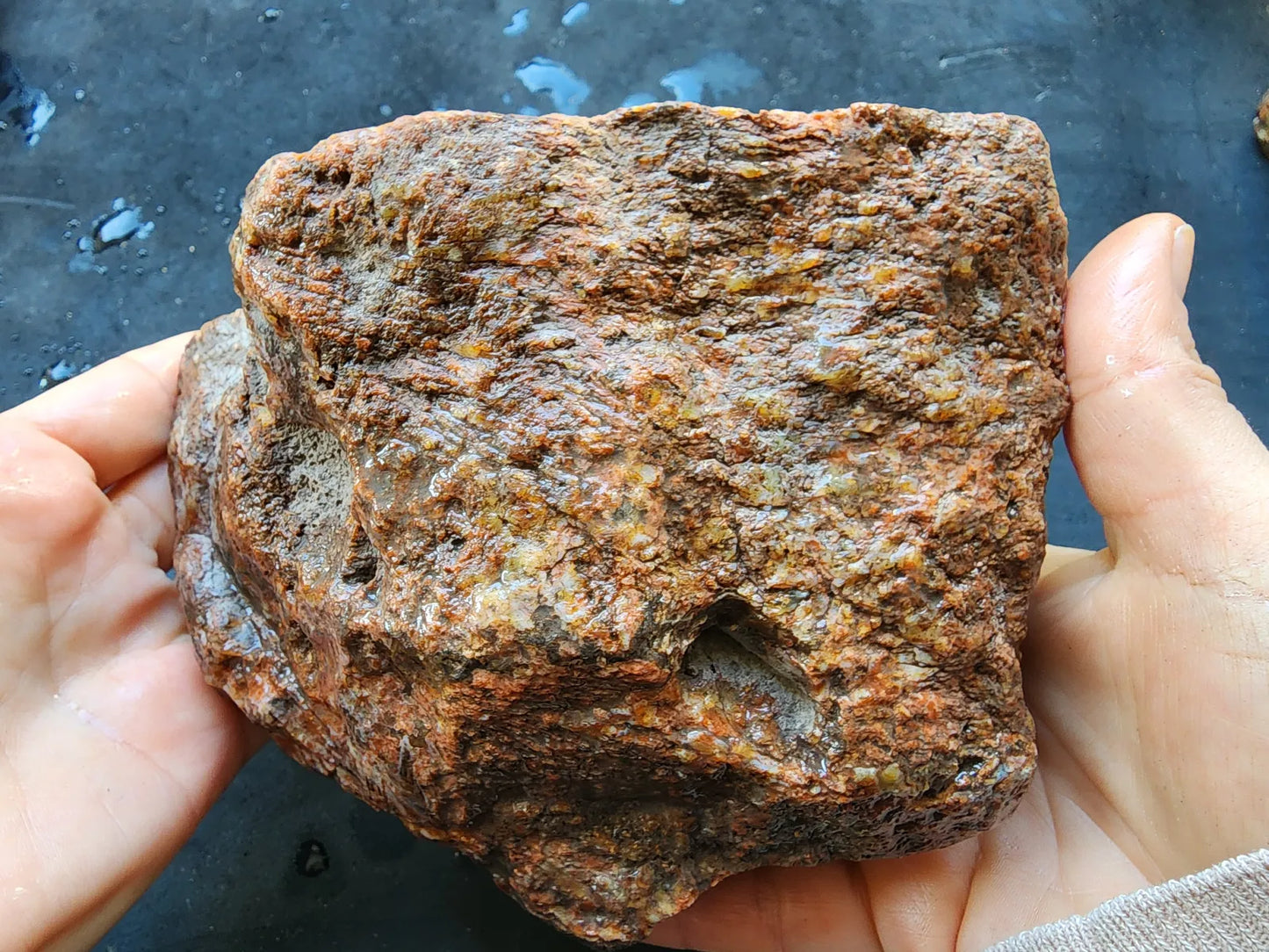 Natural Agate Display
