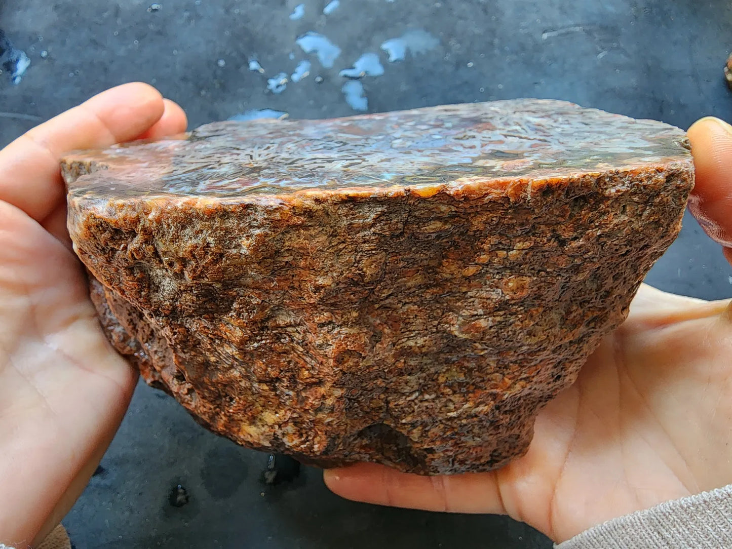 Natural Agate Display