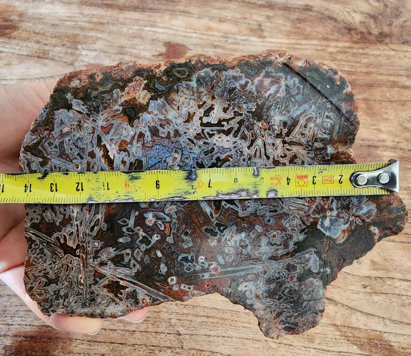 Natural Agate Display