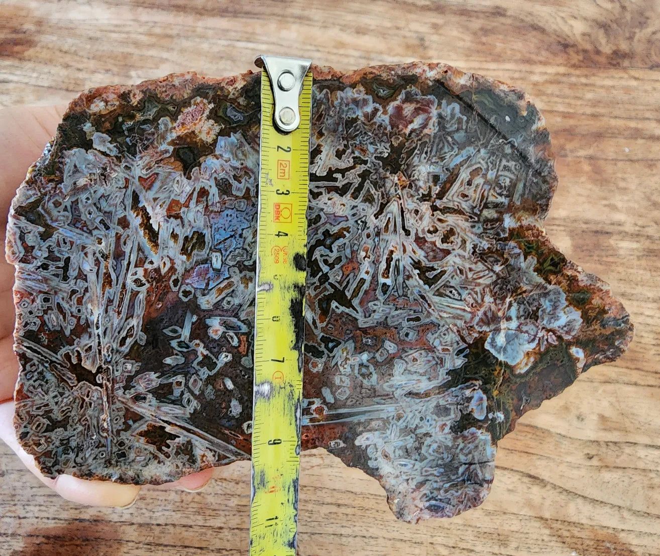 Natural Agate Display