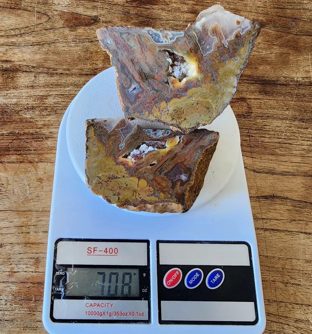 Stromatolite Fossil Agate
