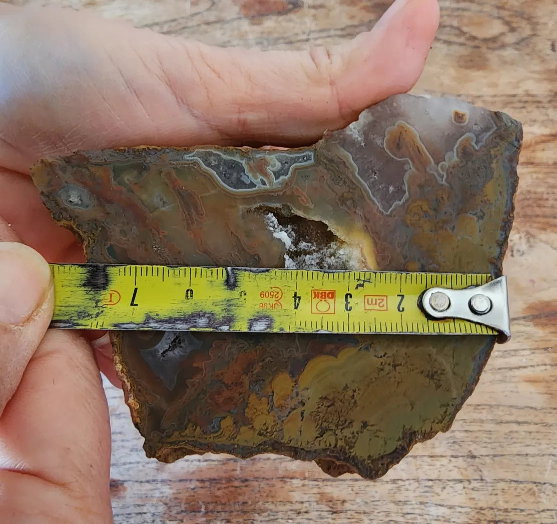 Stromatolite Fossil Agate