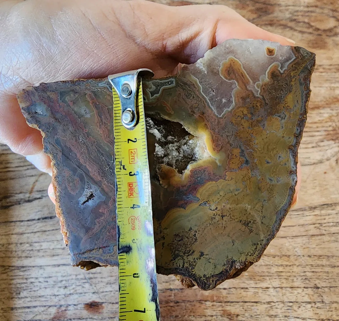 Stromatolite Fossil Agate