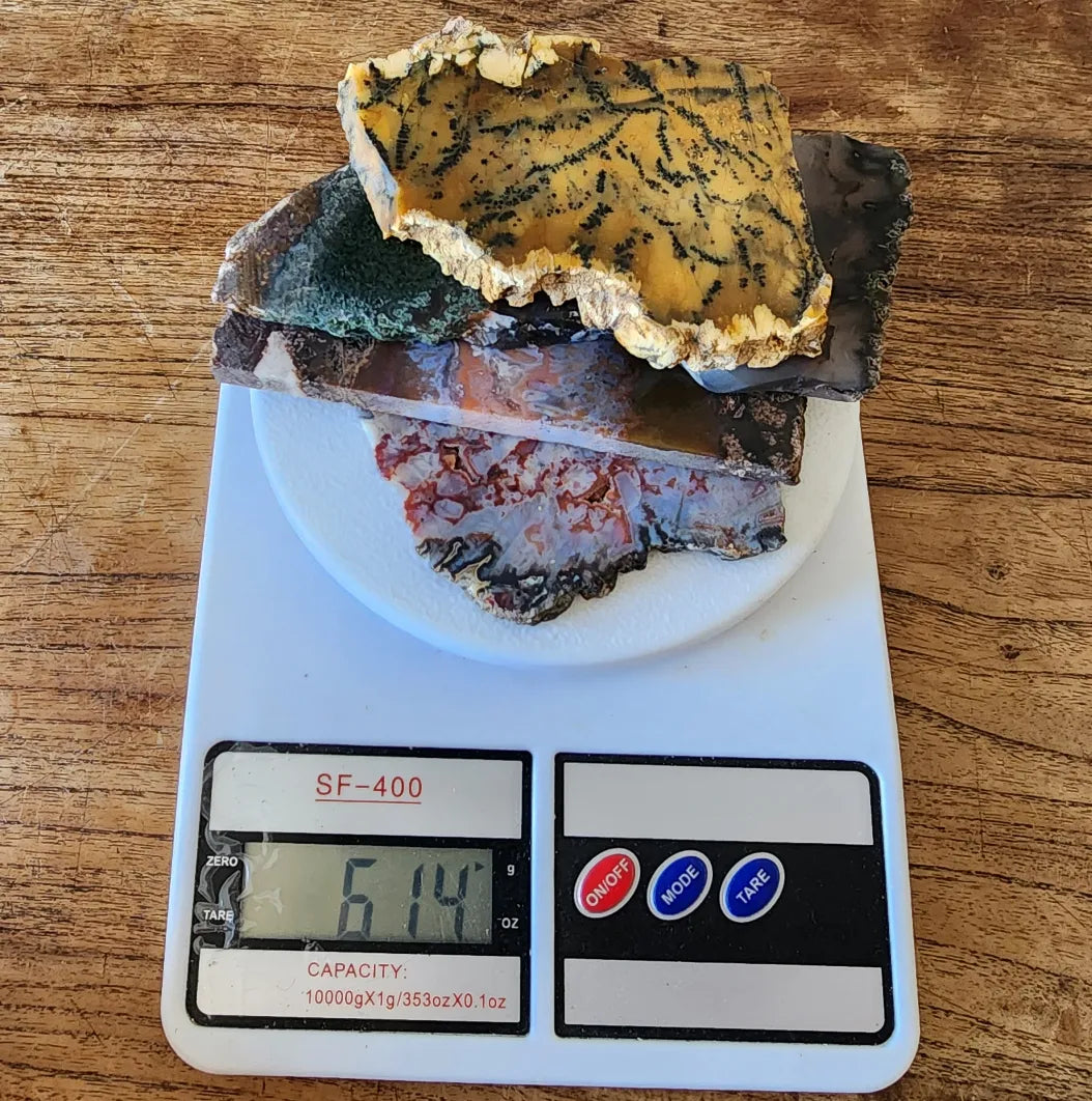Agate Slice Lot