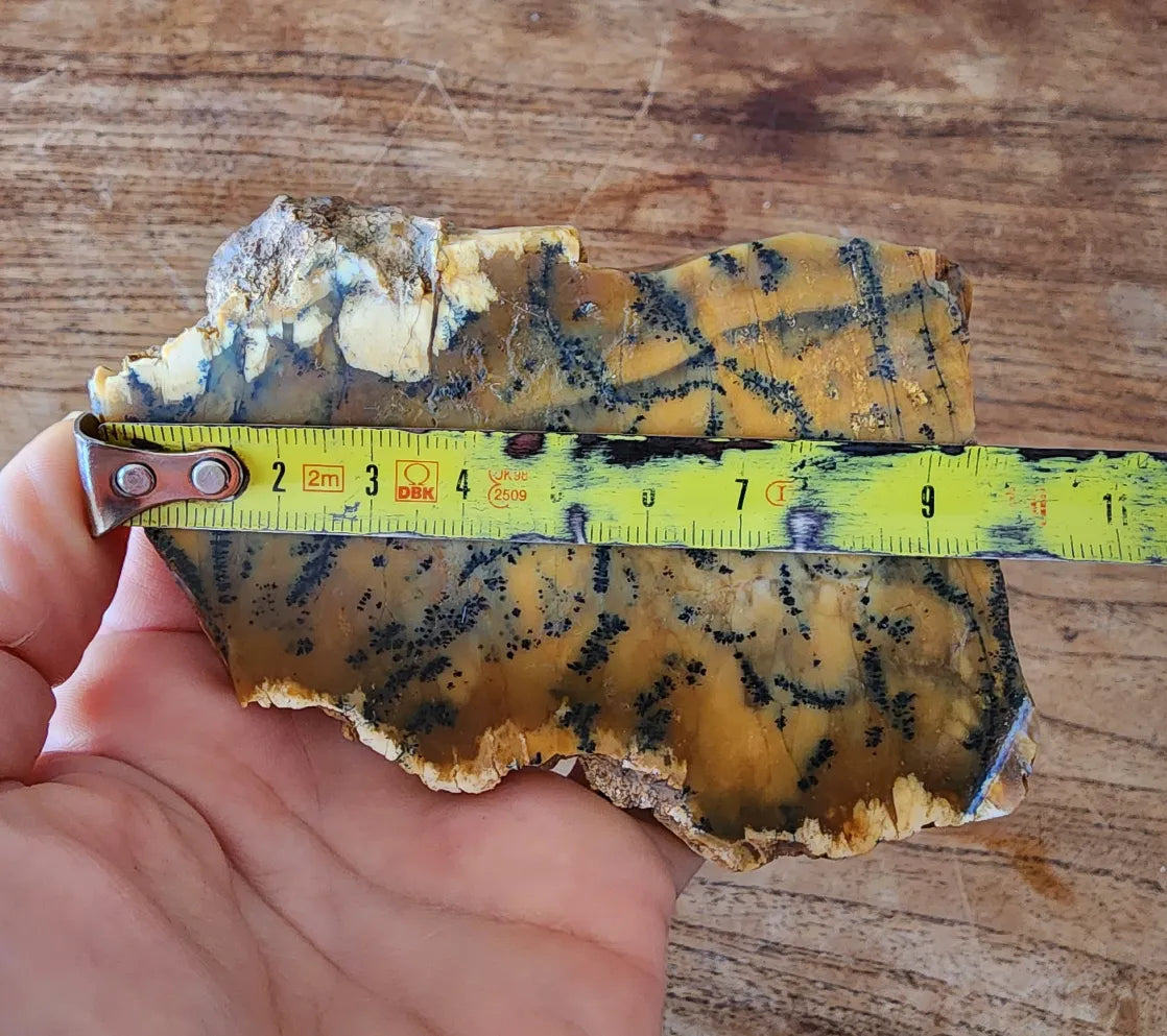 Agate Slice Lot