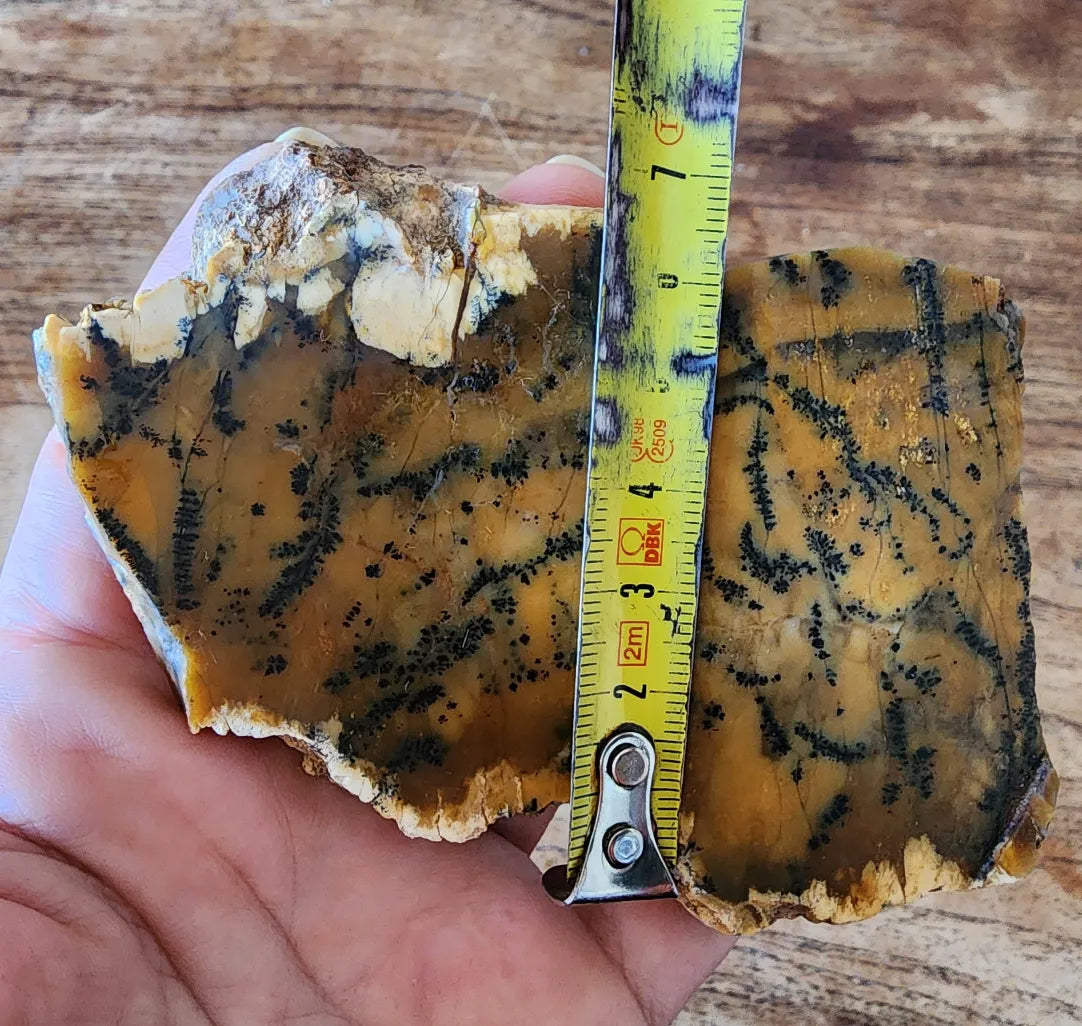 Agate Slice Lot