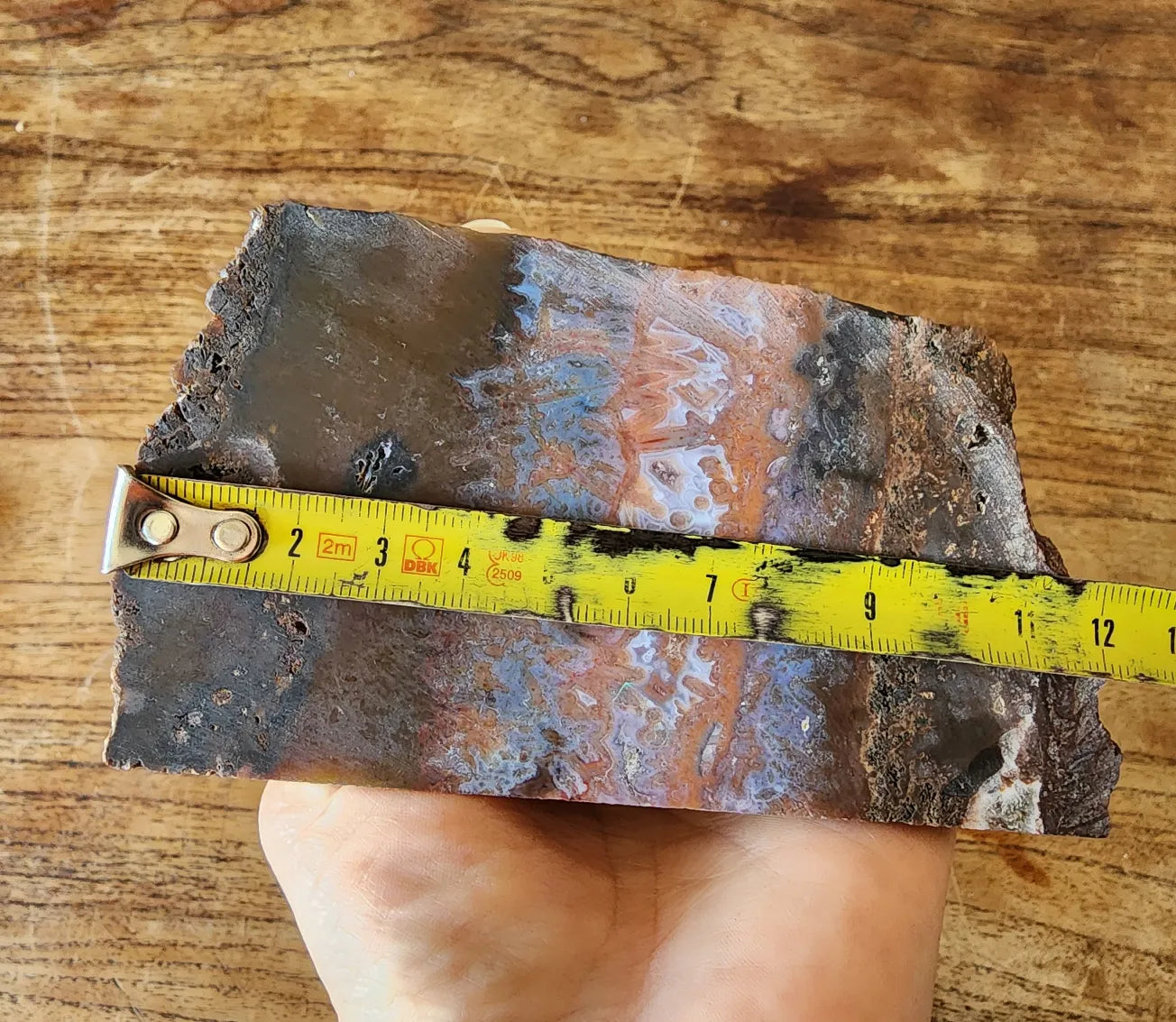 Agate Slice Lot