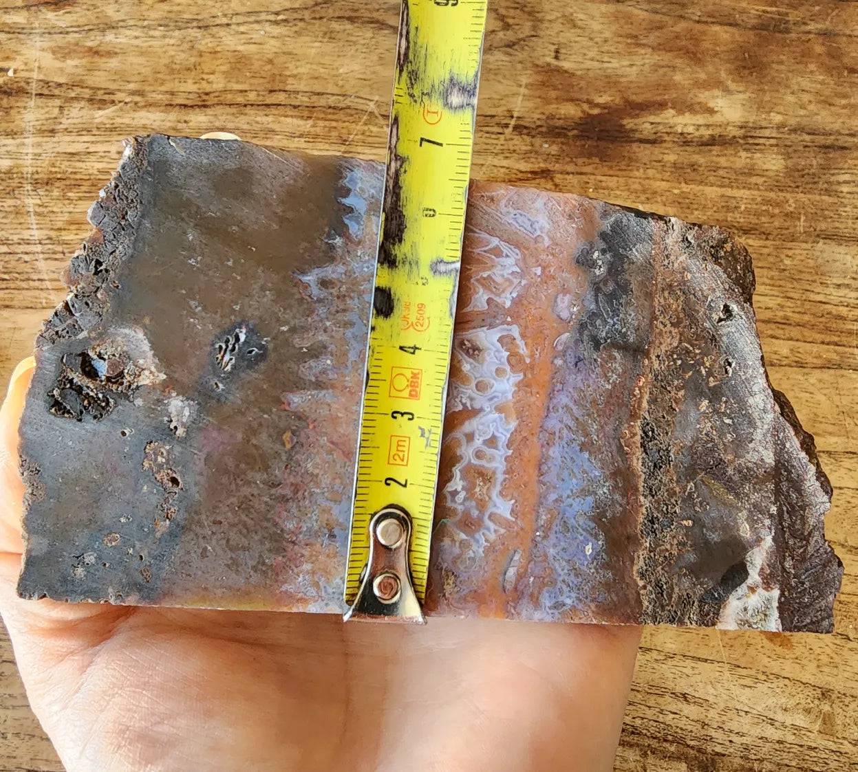 Agate Slice Lot
