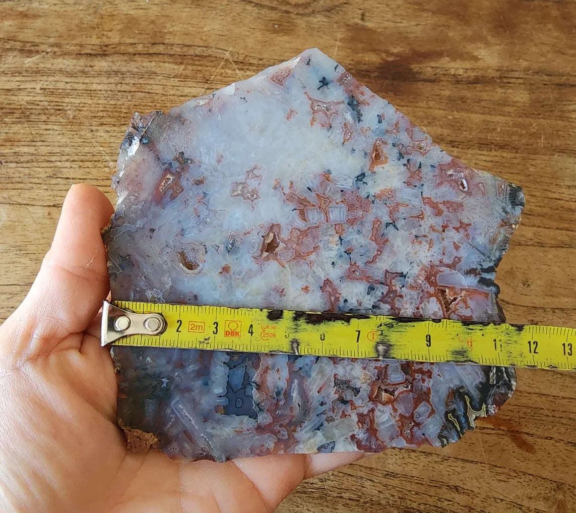 Agate Slice Lot