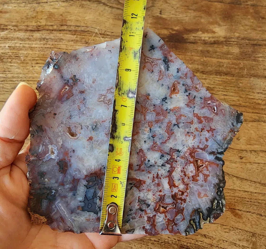 Agate Slice Lot