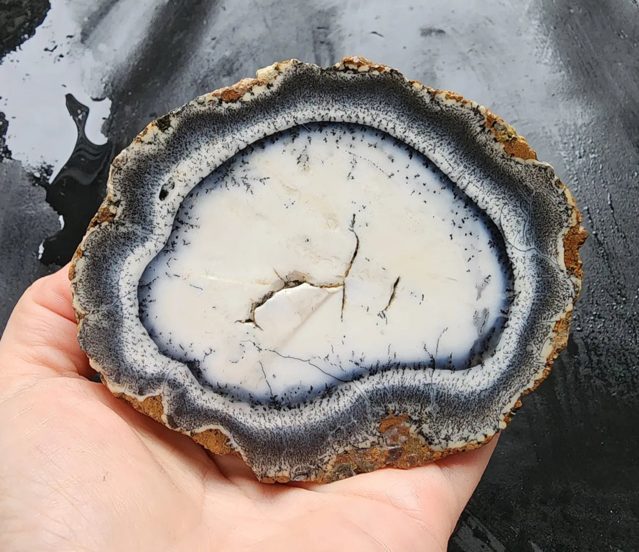 Dendritic Opal