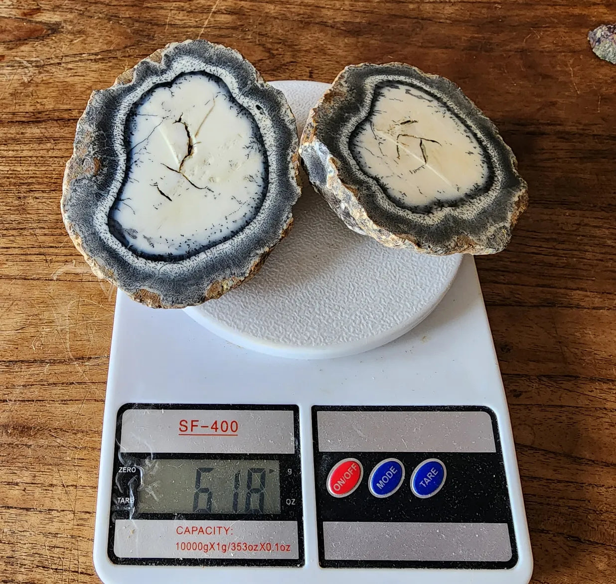 Dendritic Opal
