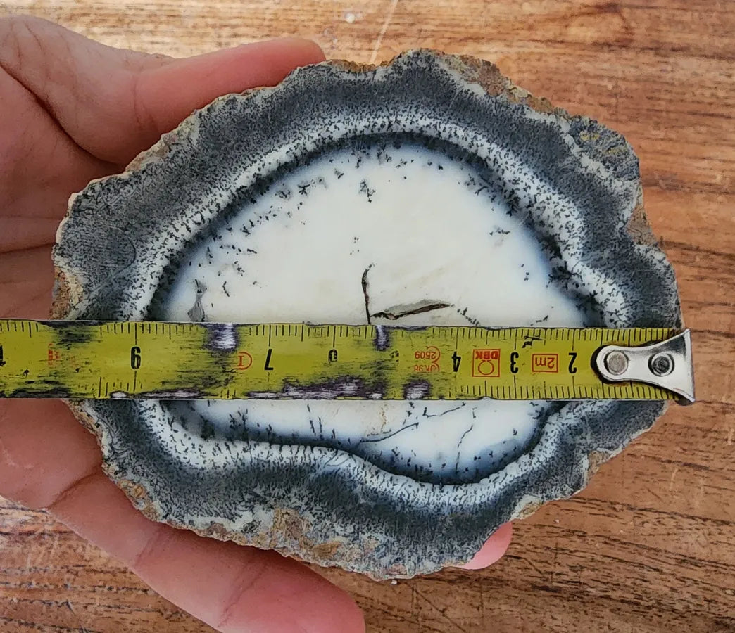 Dendritic Opal