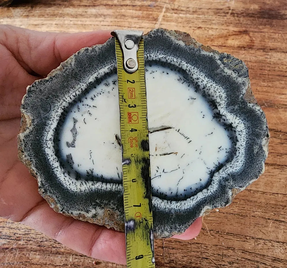 Dendritic Opal