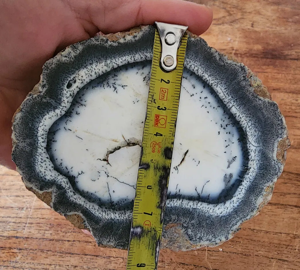 Dendritic Opal