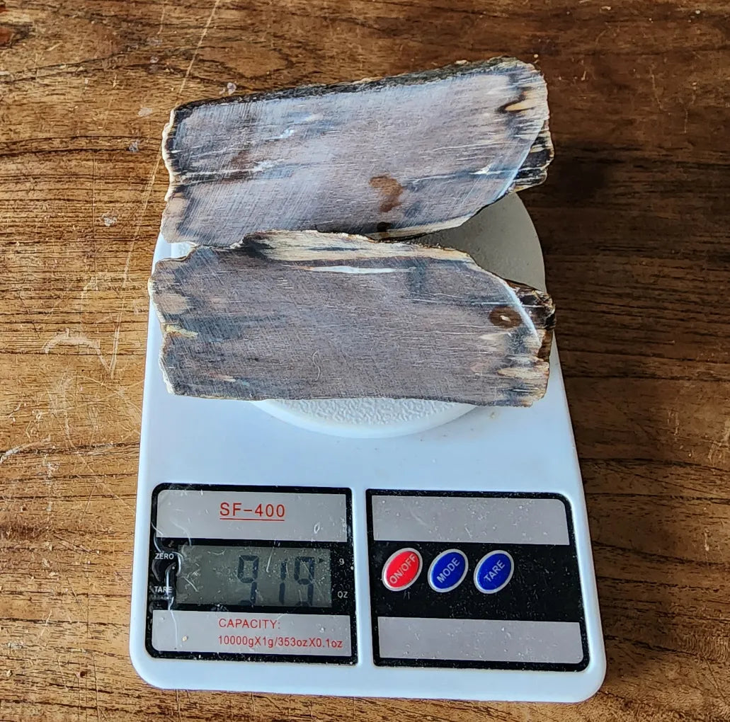 Petrified Wood