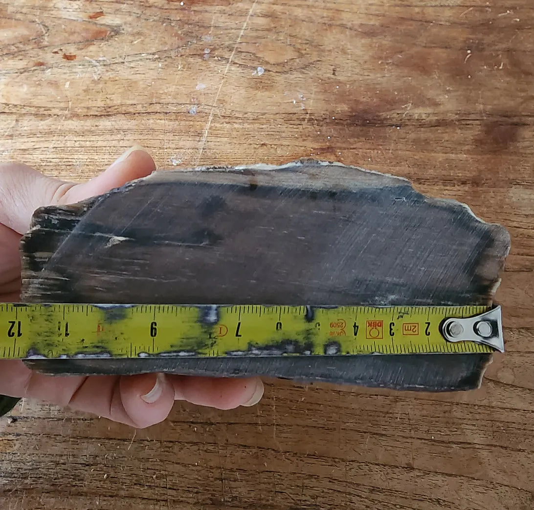Petrified Wood
