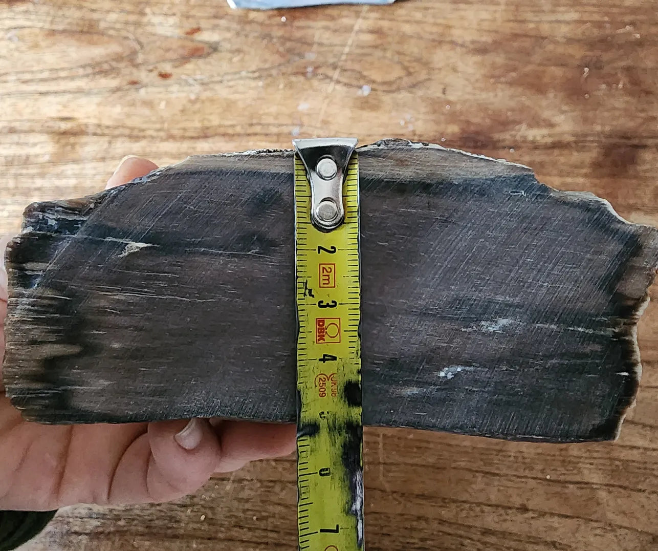 Petrified Wood