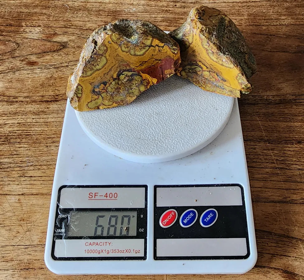 Beautiful Jasper Pair