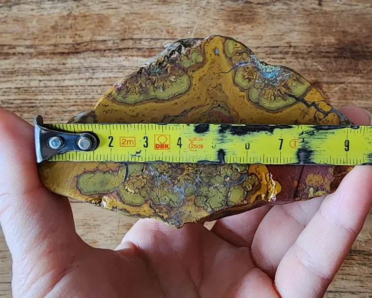 Beautiful Jasper Pair