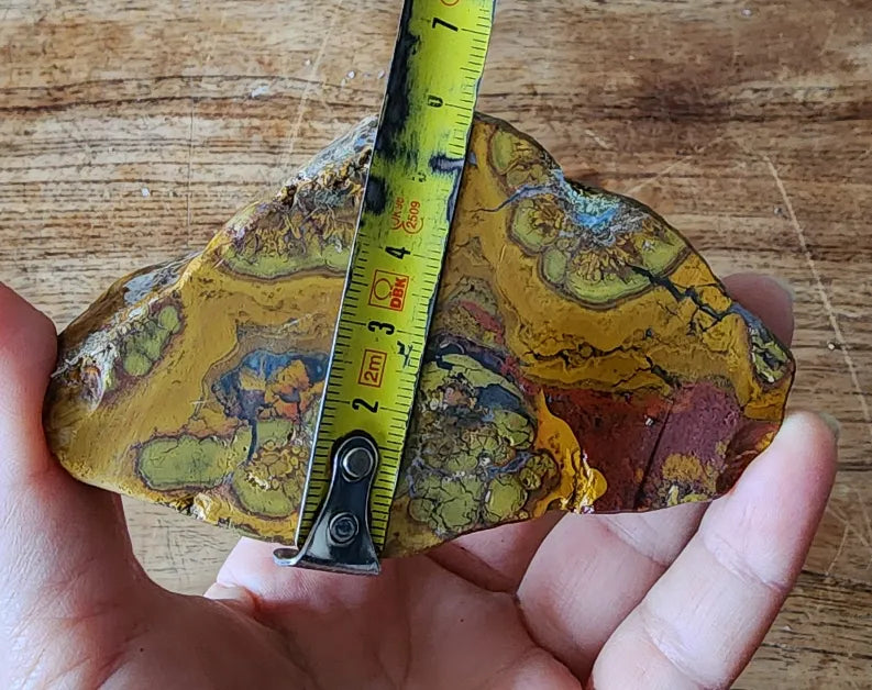 Beautiful Jasper Pair