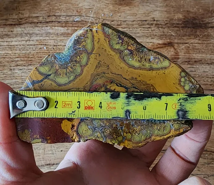 Beautiful Jasper Pair