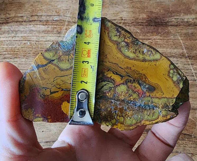 Beautiful Jasper Pair