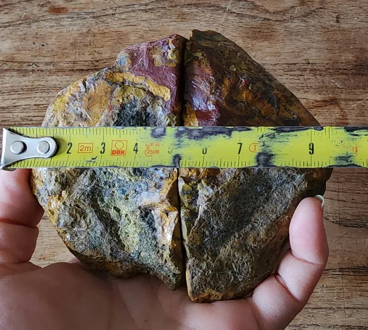 Beautiful Jasper Pair