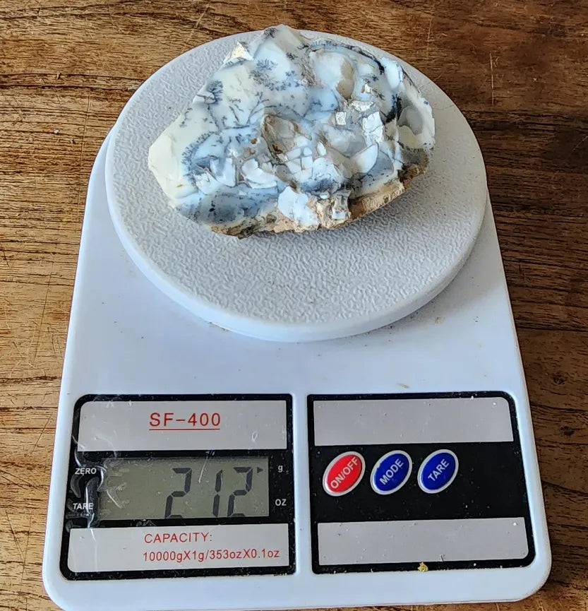 Dendritic Opal Decorative Rock