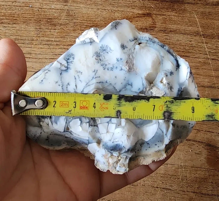 Dendritic Opal Decorative Rock