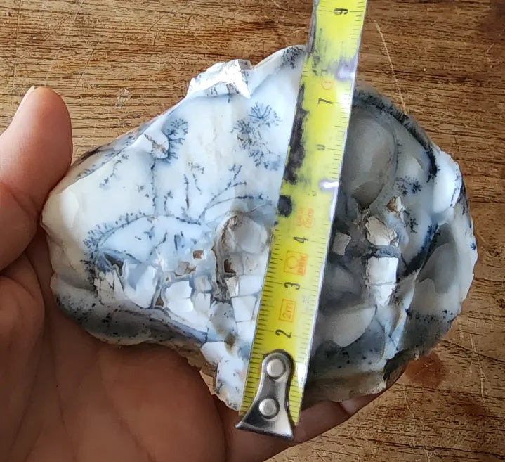 Dendritic Opal Decorative Rock
