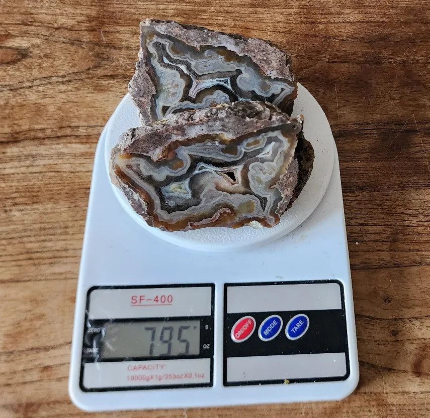 Picasso Portrait - Thunderegg
