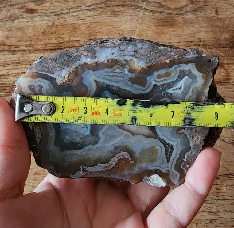 Picasso Portrait - Thunderegg