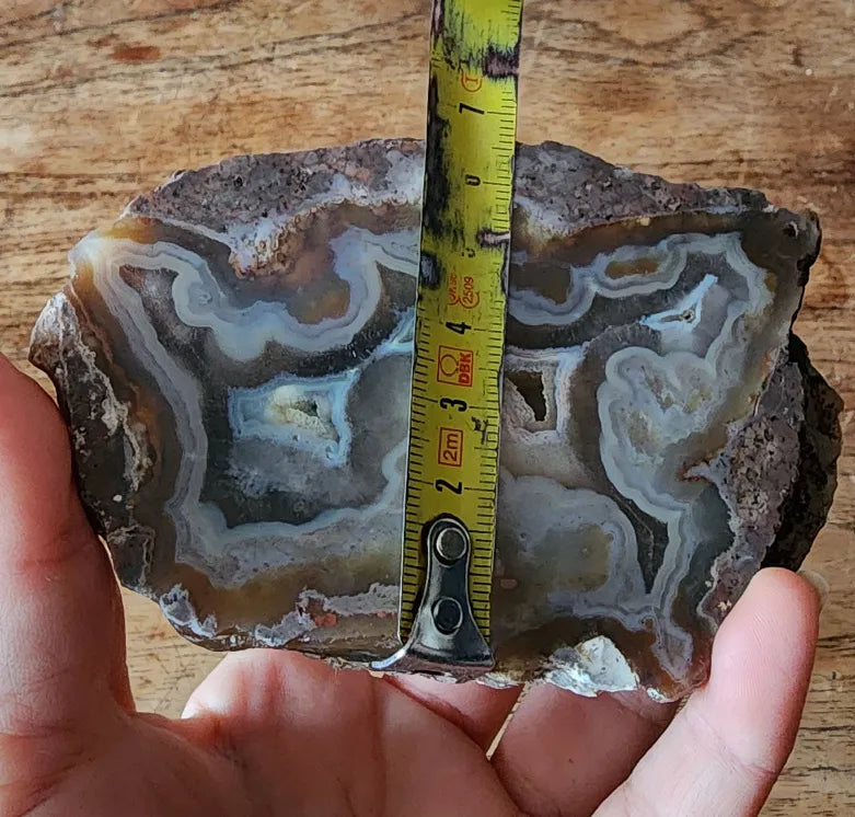 Picasso Portrait - Thunderegg
