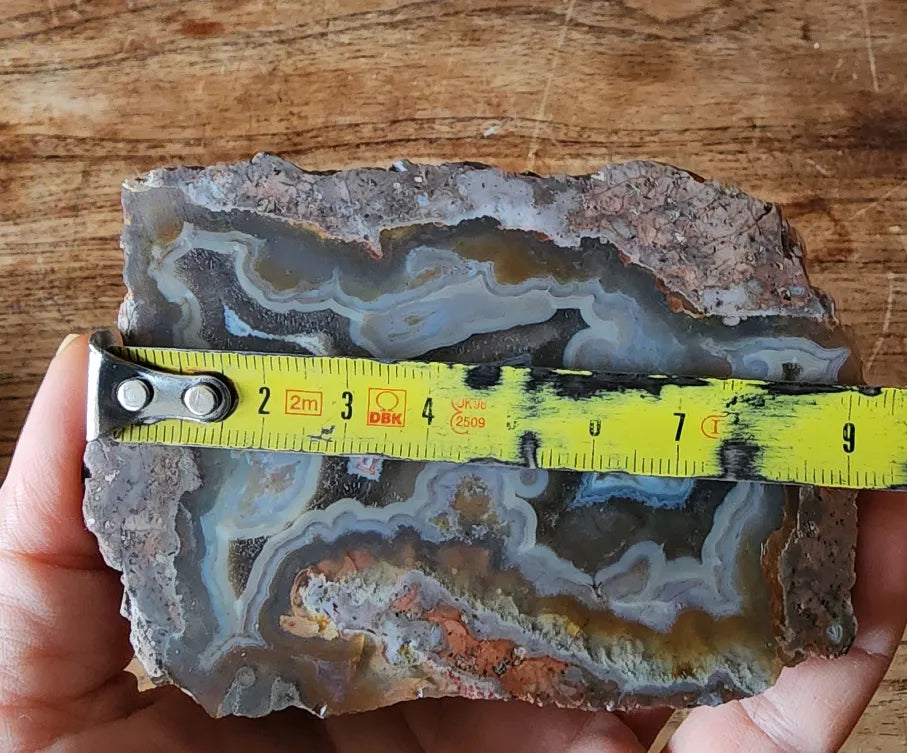 Picasso Portrait - Thunderegg