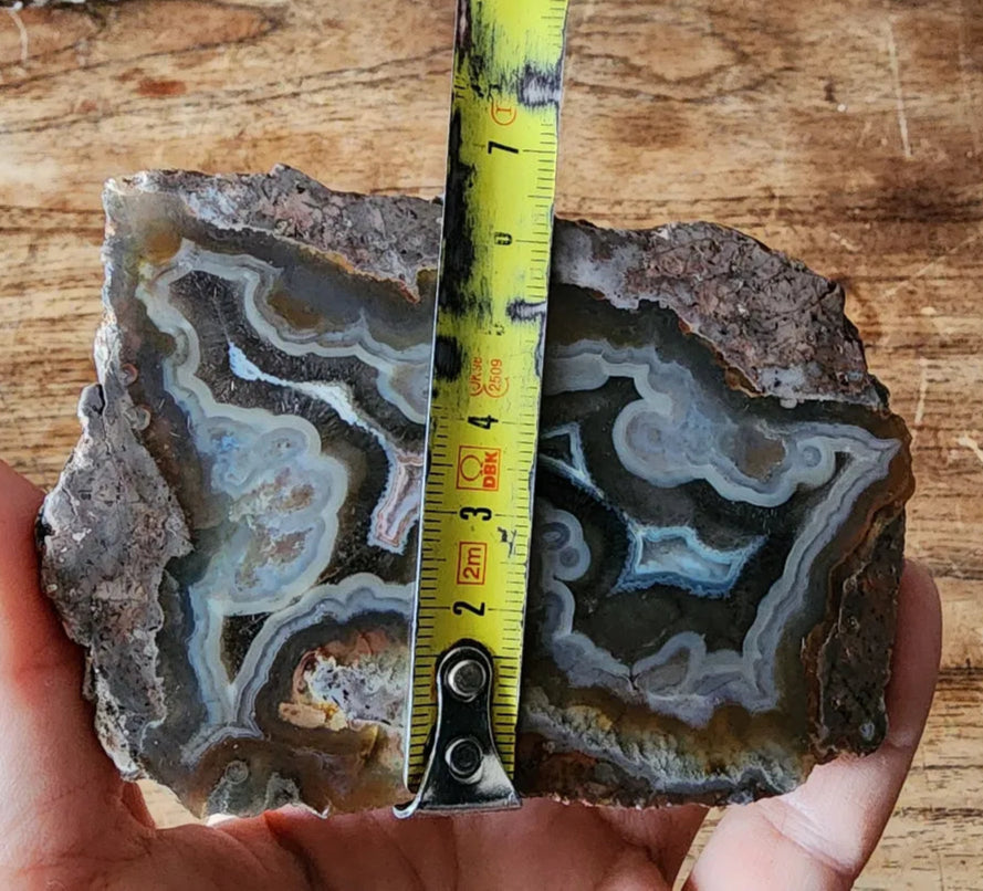 Picasso Portrait - Thunderegg