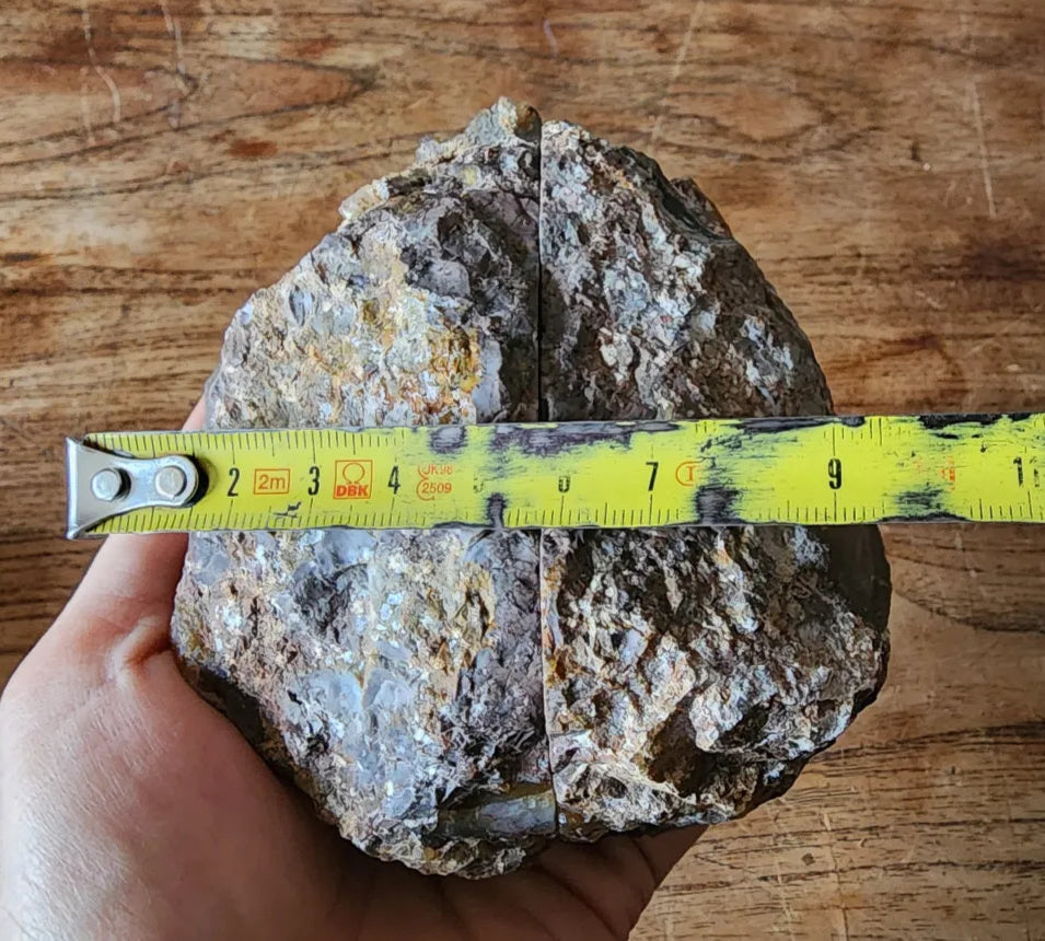 Picasso Portrait - Thunderegg