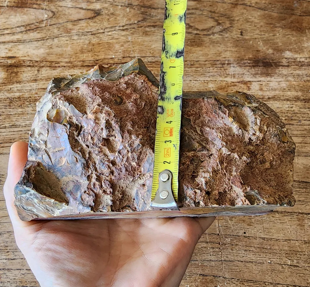 Picture Jasper
