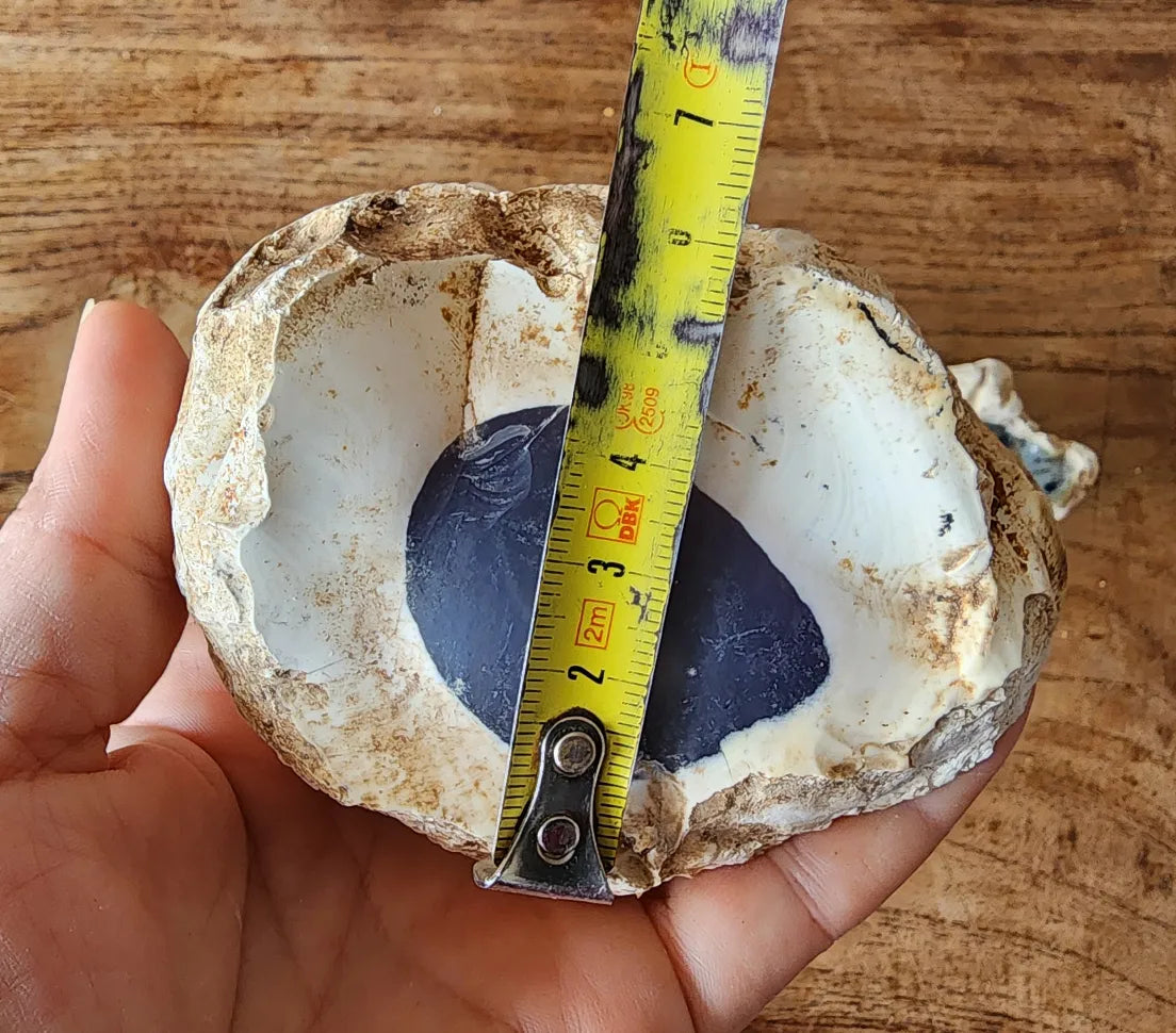 Dendritic Opal Rough Lot