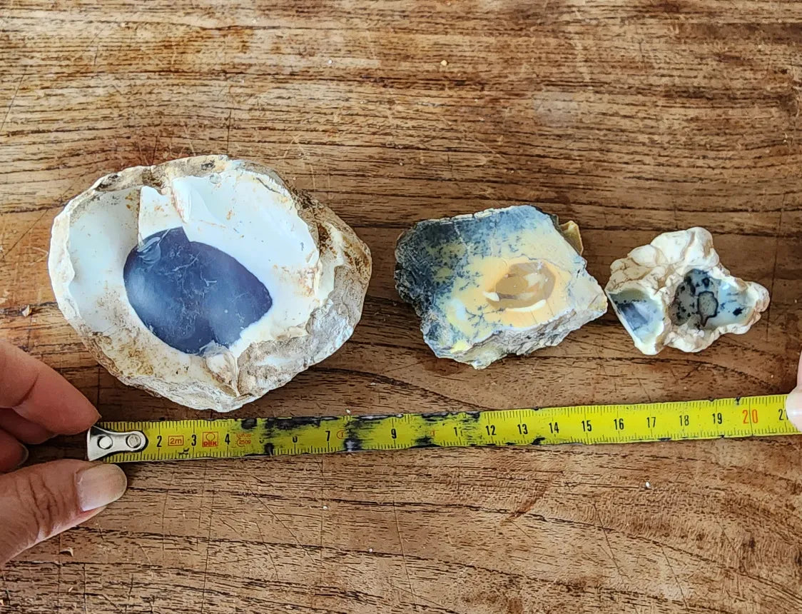 Dendritic Opal Rough Lot