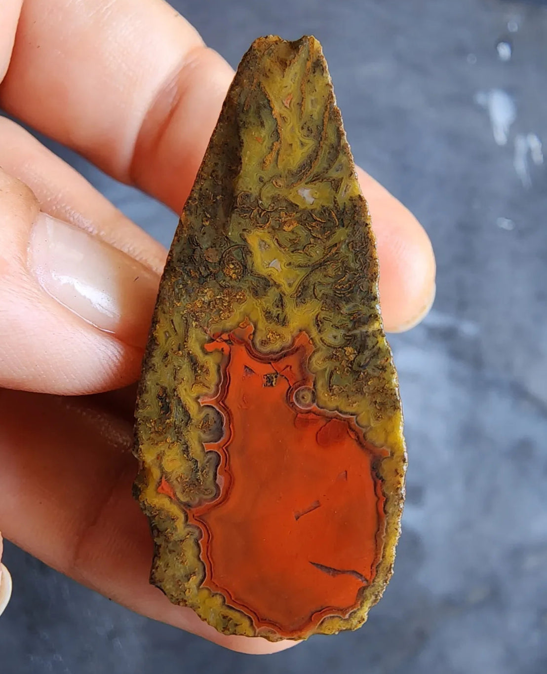 Red Agate - Red Cat