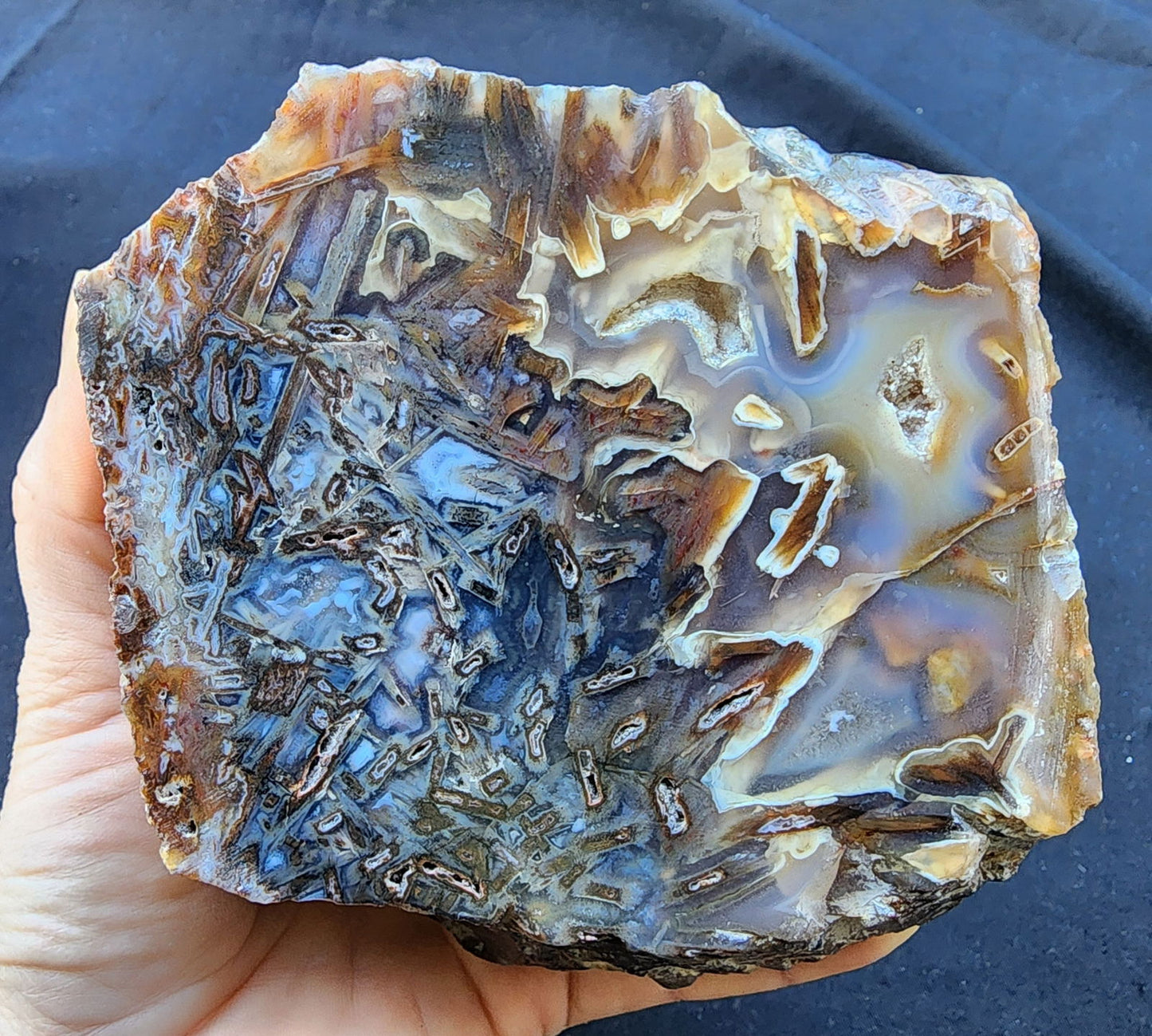 Collectible Agate Slab - #tag1# - #tag2# - #tag3# - #tag4#