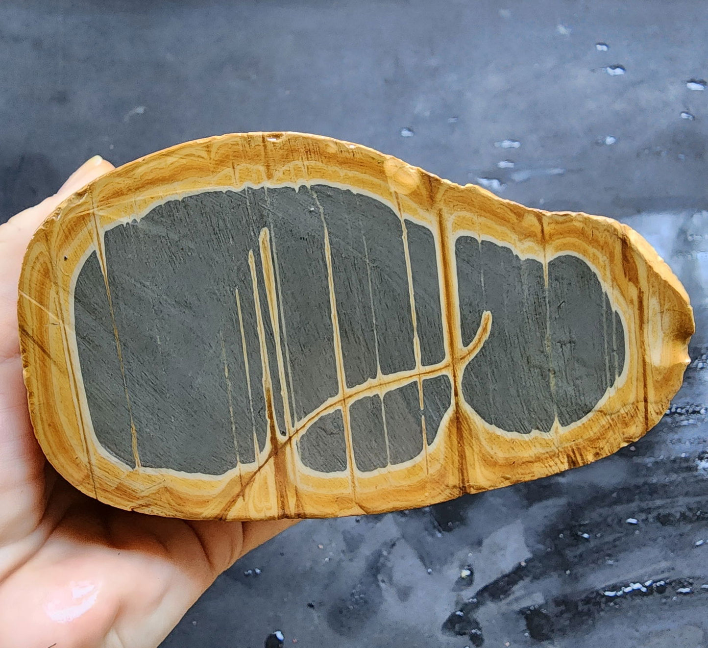 Decorative Jasper - #tag1# - #tag2#