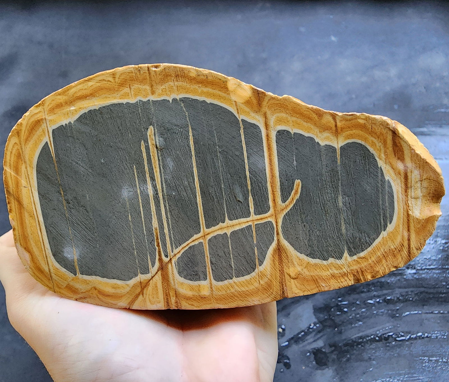 Decorative Jasper - #tag1# - #tag2#