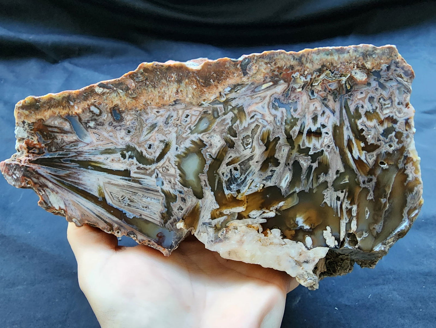 Large Decorative Rock - #tag1# - #tag2# - #tag3# - #tag4#