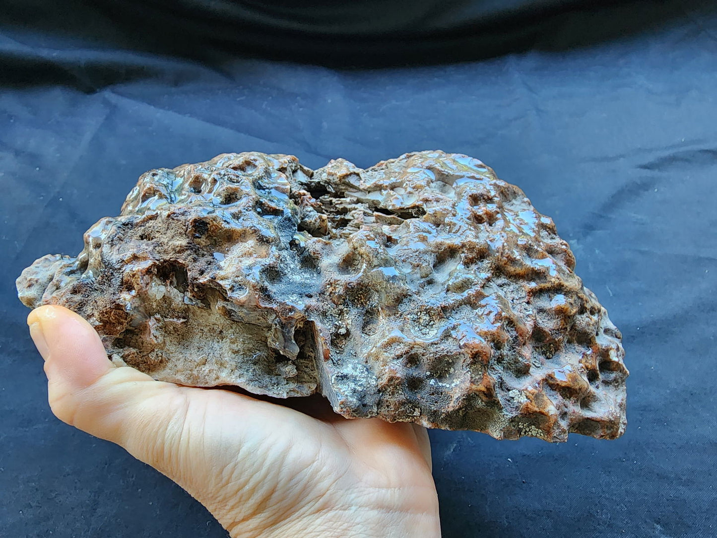 Large Decorative Rock - #tag1# - #tag2# - #tag3# - #tag4#