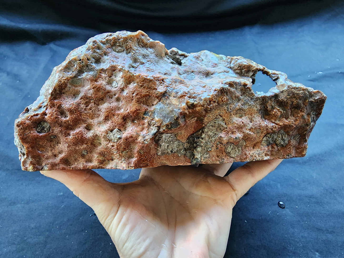 Large Decorative Rock - #tag1# - #tag2# - #tag3# - #tag4#