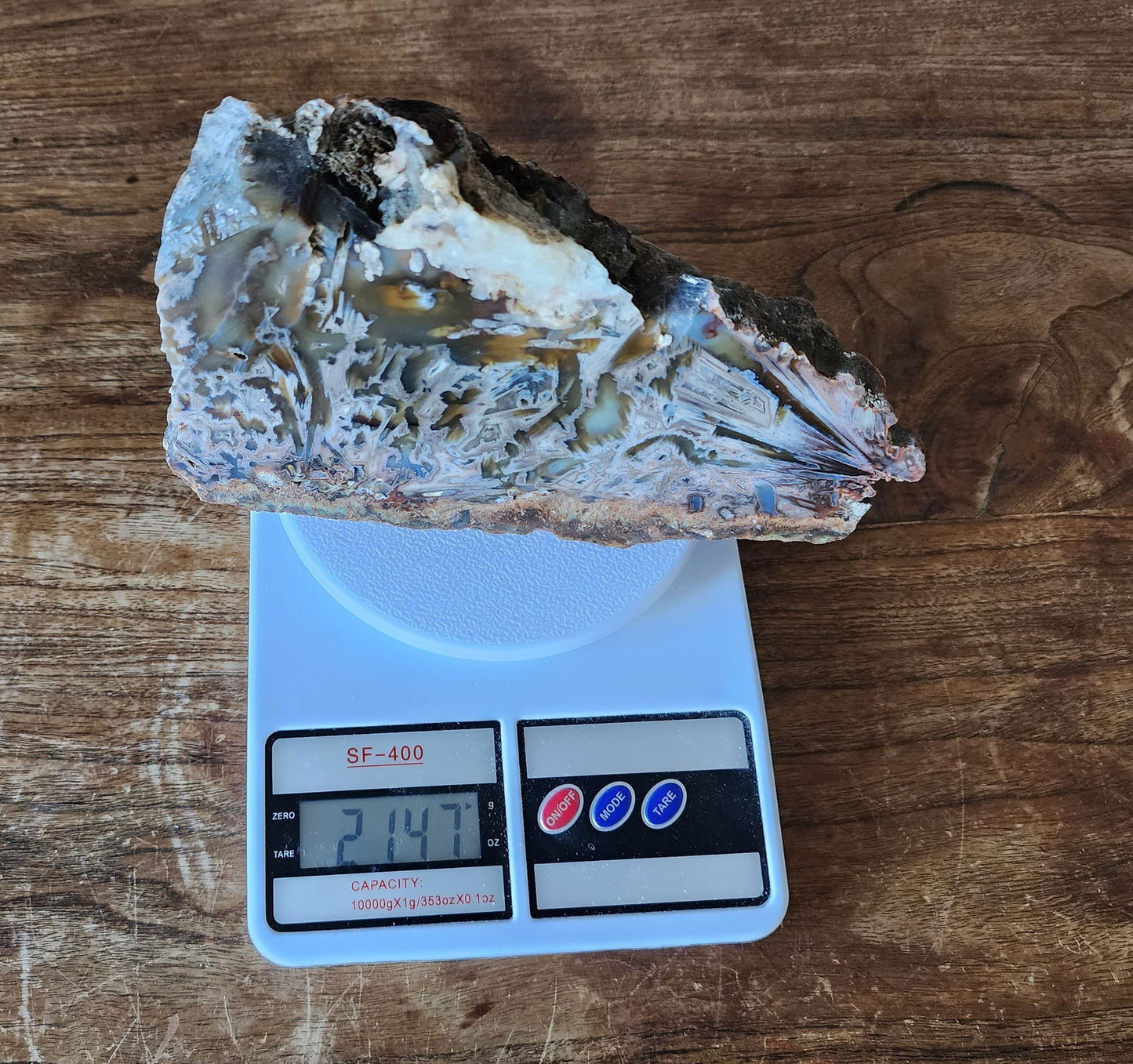 Large Decorative Rock - #tag1# - #tag2# - #tag3# - #tag4#