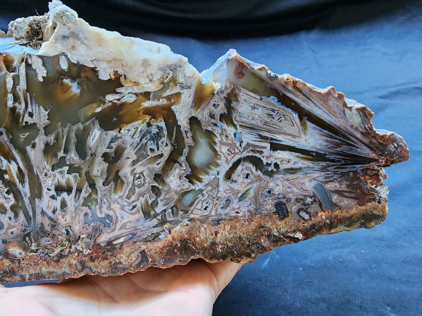 Large Decorative Rock - #tag1# - #tag2# - #tag3# - #tag4#