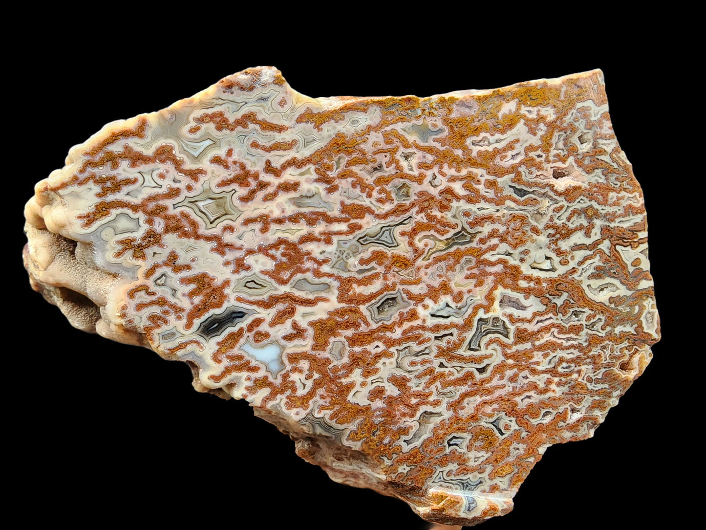 Plume Agate Decor - #tag1# - #tag2#